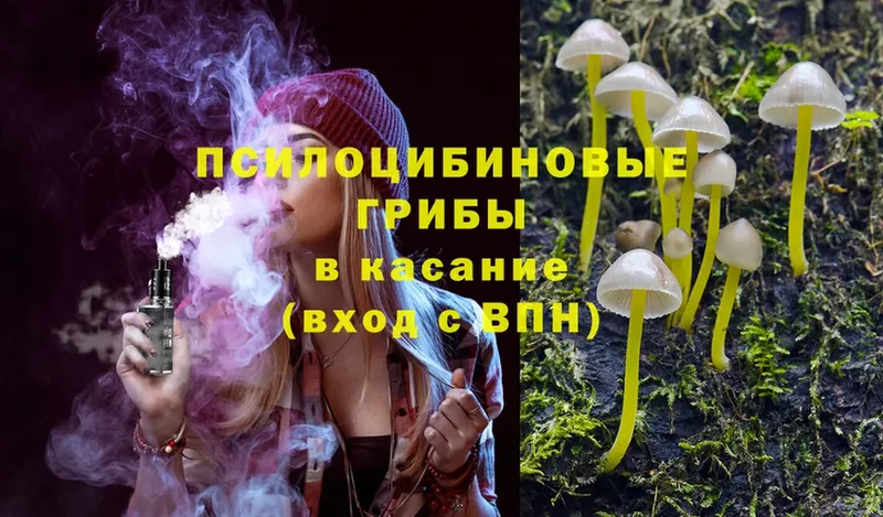 Псилоцибиновые грибы Psilocybine cubensis  kraken маркетплейс  Уссурийск 